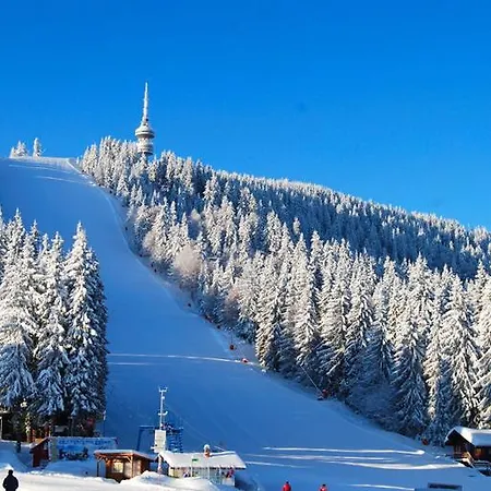 Studio Atlantic Pamporovo