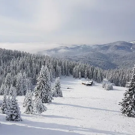 Studio Atlantic Pamporovo